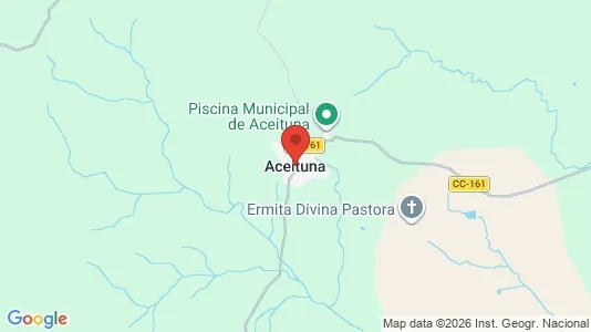 Apartments for rent in Aceituna - Photo from Google Street View
