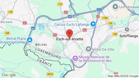 Apartments for rent in Esch-sur-Alzette - Photo from Google Street View