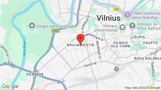 Apartments for rent in Vilnius Naujamiestis - Photo from Google Street View