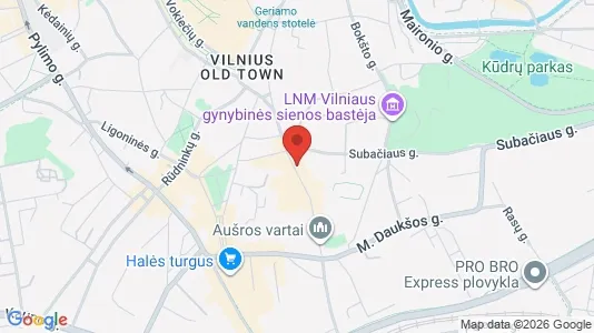 Apartments for rent in Vilnius Senamiestis - Photo from Google Street View
