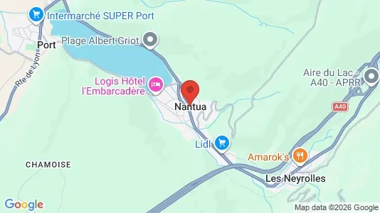 Apartments for rent i Nantua - kort over placeringen