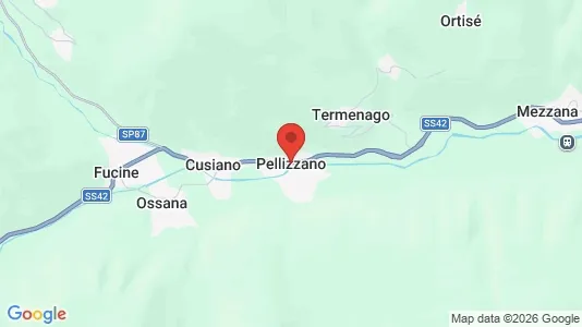 Apartments for rent in Pellizzano - Photo from Google Street View