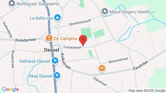Apartments for rent in Dessel - Photo from Google Street View