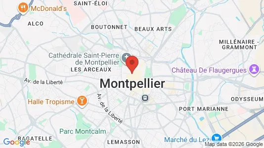 Apartments for rent i Montpellier - kort over placeringen