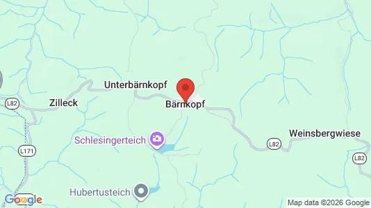 Apartments for rent in Bärnkopf - Photo from Google Street View