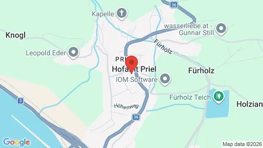 Apartments for rent in Hofamt Priel - Photo from Google Street View