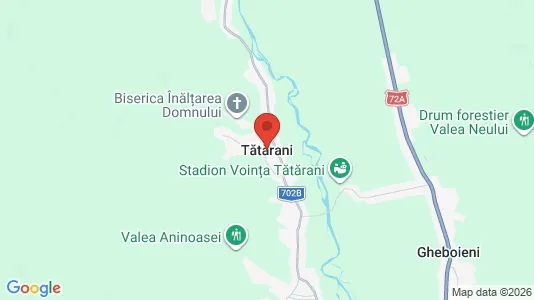 Apartments for rent in Tătărani - Photo from Google Street View