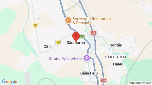Apartments for rent in Sânmartin - Photo from Google Street View