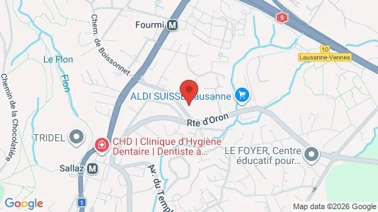 Apartments for rent in Lausanne - Photo from Google Street View