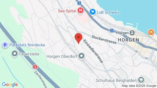 Apartments for rent i Horgen - kort over placeringen