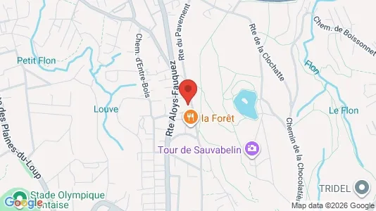 Apartments for rent i Lausanne - kort over placeringen