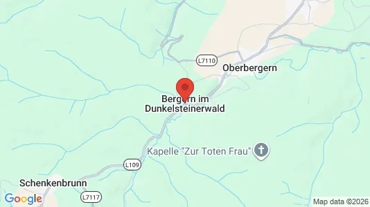 Apartments for rent in Bergern im Dunkelsteinerwald - Photo from Google Street View