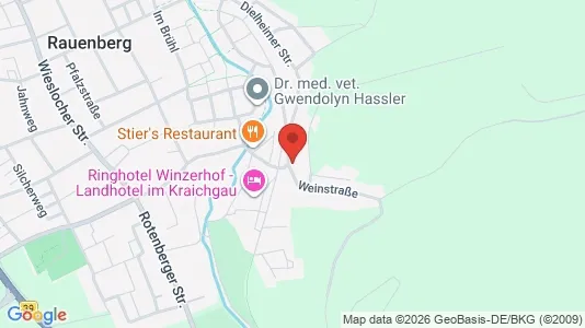Apartments for rent in Rhein-Neckar-Kreis - Photo from Google Street View