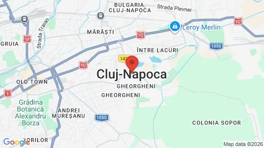 Apartments for rent in Cluj-Napoca - Photo from Google Street View