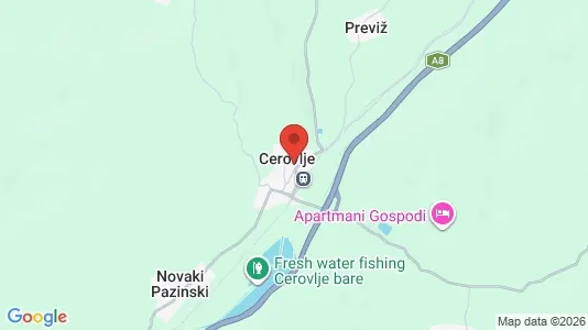 Apartments for rent in Cerovlje - Photo from Google Street View