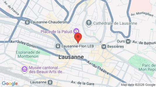 Apartments for rent in Lausanne - Photo from Google Street View