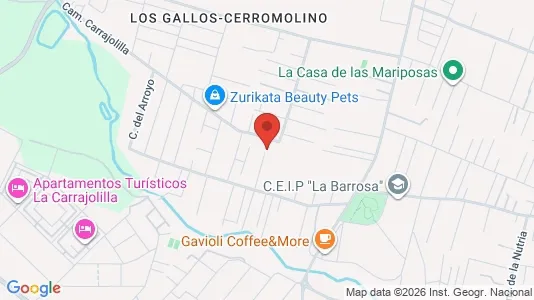 Apartments for rent i Chiclana de la Frontera - kort over placeringen