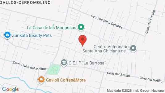 Apartments for rent i Chiclana de la Frontera - kort over placeringen
