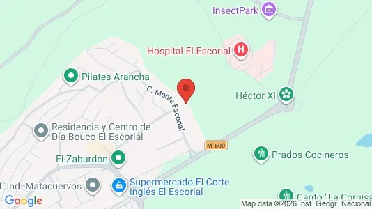 Apartments for rent i San Lorenzo de El Escorial - kort over placeringen