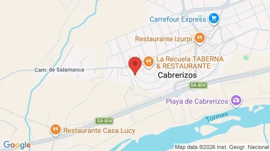 Apartments for rent i Cabrerizos - kort over placeringen