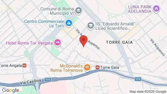 Rooms for rent i Roma Municipio VI – Roma Delle Torri - kort over placeringen