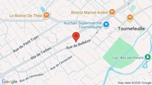 Apartments for rent i Toulouse - kort over placeringen