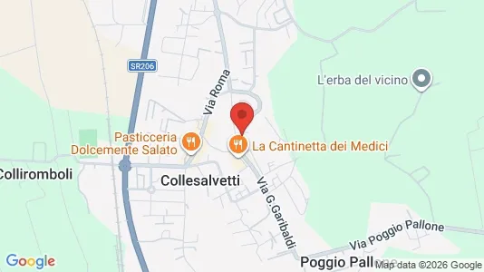 Apartments for rent i Collesalvetti - kort over placeringen