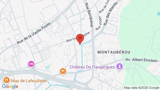Apartments for rent i Montpellier - kort over placeringen