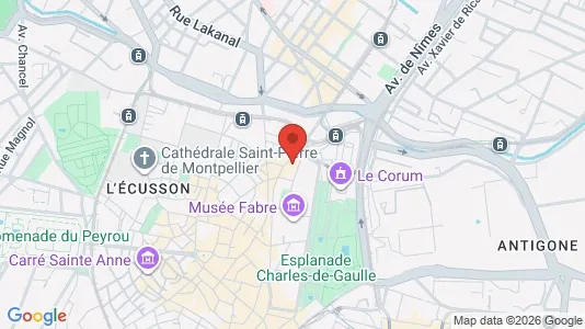 Apartments for rent i Montpellier - kort over placeringen