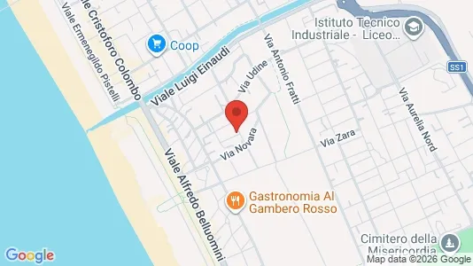 Apartments for rent i Viareggio - kort over placeringen