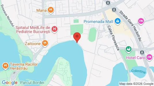 Apartments for rent i Voluntari - kort over placeringen