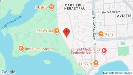 Apartments for rent i Voluntari - kort over placeringen