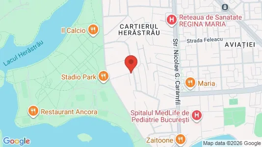 Apartments for rent i Voluntari - kort over placeringen