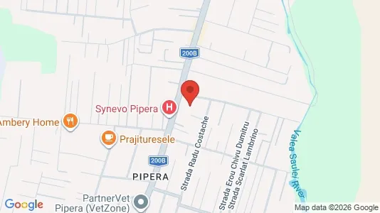Apartments for rent i Voluntari - kort over placeringen
