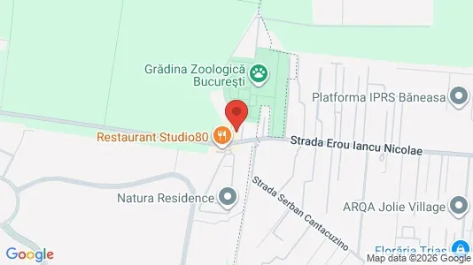 Apartments for rent i Voluntari - kort over placeringen