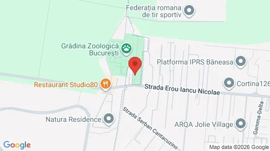 Apartments for rent i Voluntari - kort over placeringen