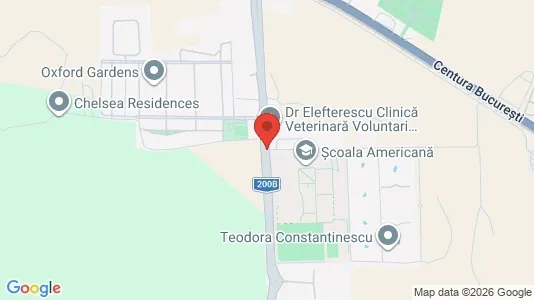 Apartments for rent i Voluntari - kort over placeringen
