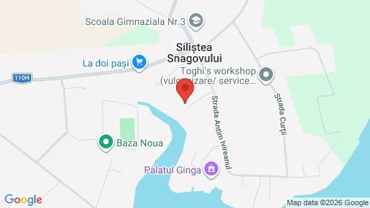 Apartments for rent i Gruiu - kort over placeringen