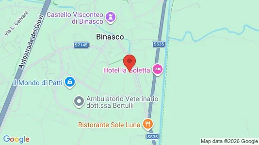 Apartments for rent i Binasco - kort over placeringen
