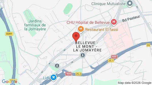 Apartments for rent i Saint-Étienne - kort over placeringen
