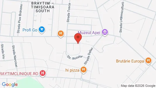 Apartments for rent i Timişoara - kort over placeringen
