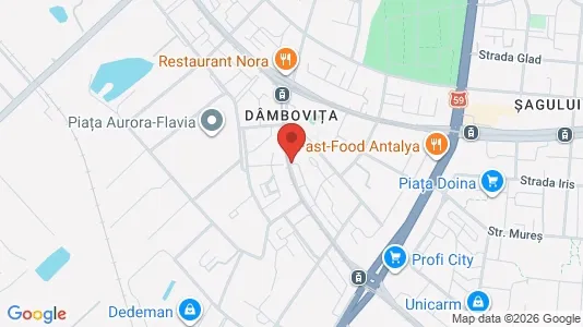 Apartments for rent i Timişoara - kort over placeringen