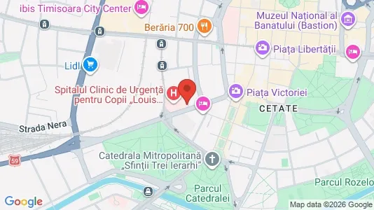 Apartments for rent i Timişoara - kort over placeringen