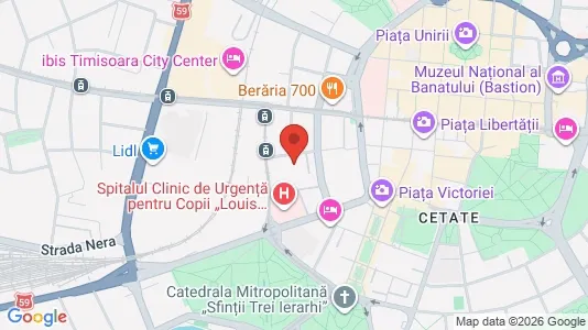 Apartments for rent i Timişoara - kort over placeringen