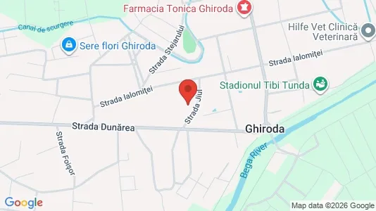 Apartments for rent i Ghiroda - kort over placeringen