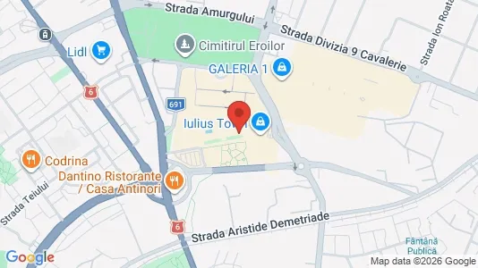 Apartments for rent i Timişoara - kort over placeringen