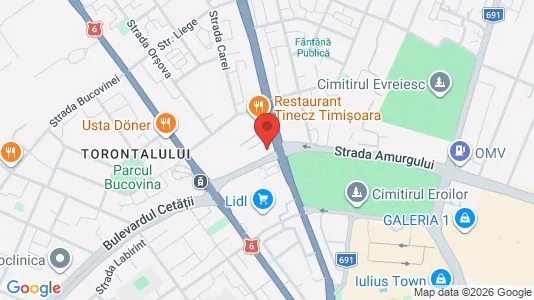 Apartments for rent i Timişoara - kort over placeringen