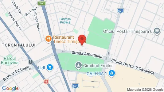 Apartments for rent i Timişoara - kort over placeringen