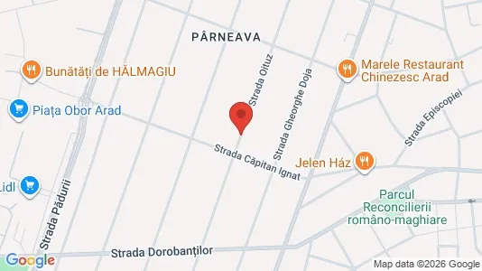Apartments for rent i Arad - kort over placeringen