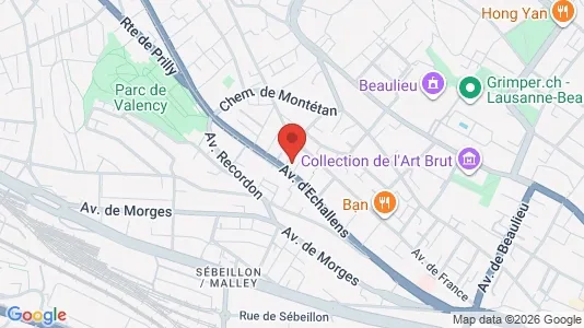 Apartments for rent i Lausanne - kort over placeringen